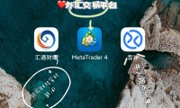 虚拟币交易app(虚拟币交易app租用)