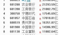 长鑫科技高开471%，成A股“一哥”，武汉一老师中一签喜赚2万元