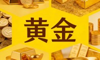 黄金基金(黄金基金怎么看涨跌)