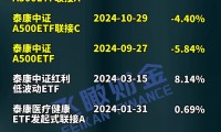 什么是指数基金(什么是指数基金 指数基金如何选)