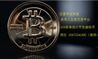 虚拟币众筹网(虚拟币众筹源码)