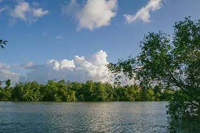 “Token”是什么意思？