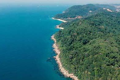 “Token”是什么意思？