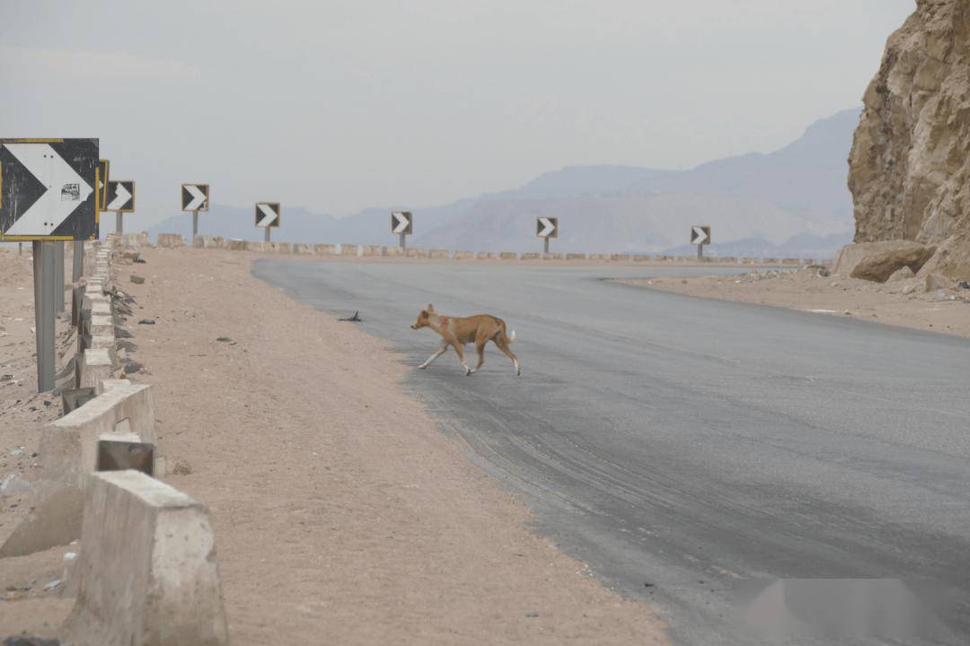 在一年货币贬值40%的地方做生意，是什么体验？