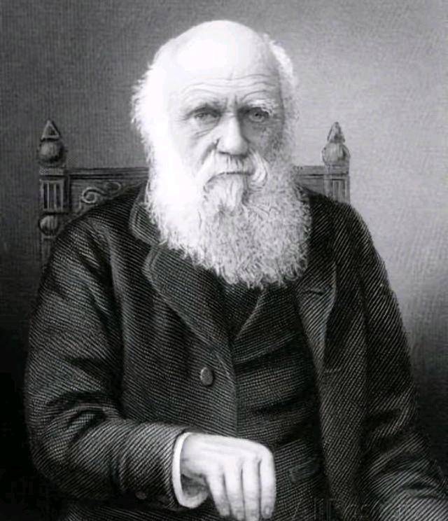 英国的天才叫牛顿，德国的天才叫爱因斯坦，那中国的天才叫什么？