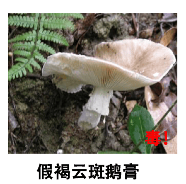 深圳一对夫妻深夜双双入院！一周内12人中招！近期很常见，千万别碰