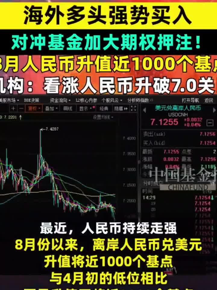 虚拟币对冲(虚拟币对冲教程)