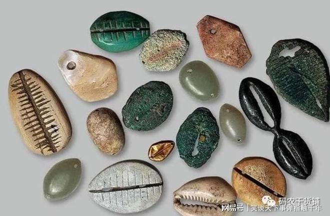 小贝壳虚拟币(小贝壳虚拟币每天涨一分)