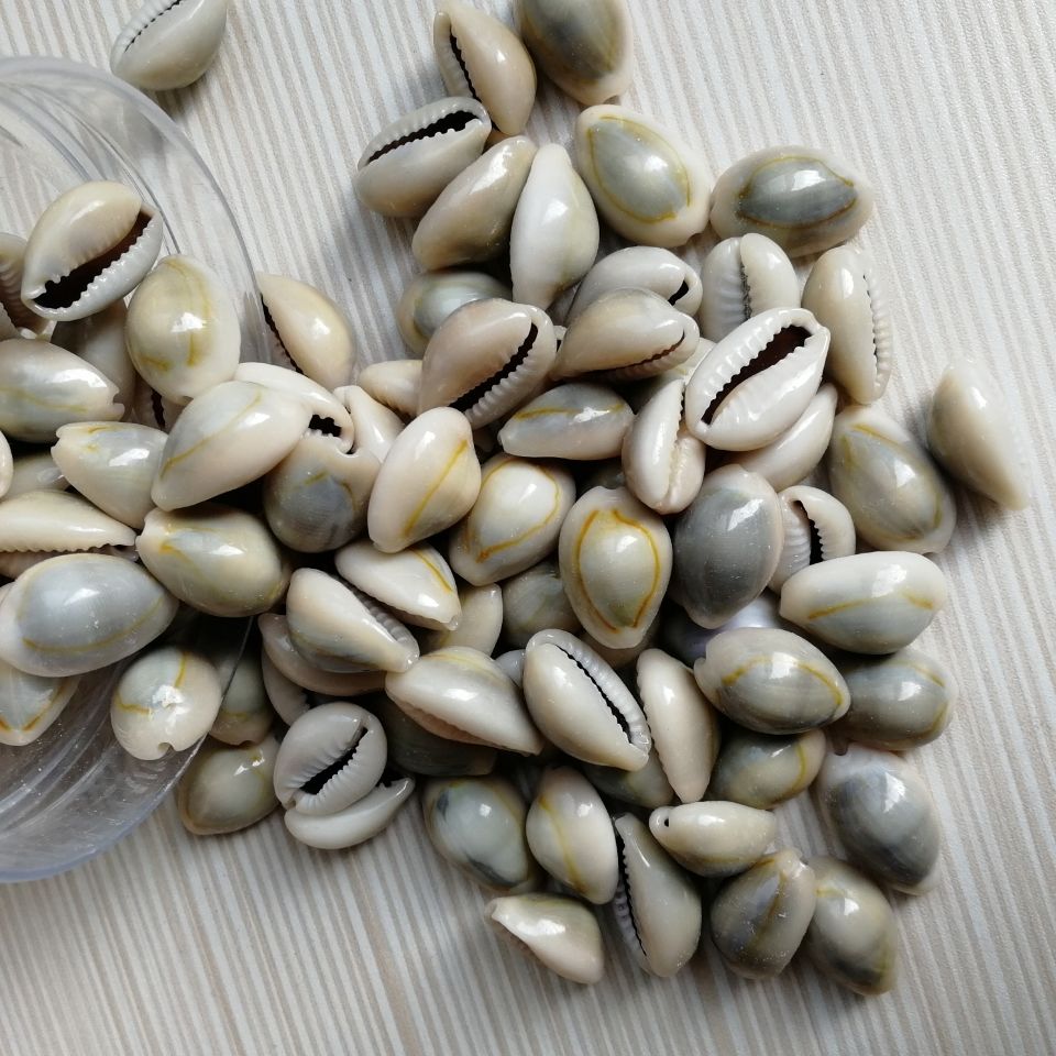 小贝壳虚拟币(小贝壳区块链交易所是不是合法的?有没有风险?) 小贝壳虚拟币(小贝壳区块链交易所是不是合法的?有没有风险?)