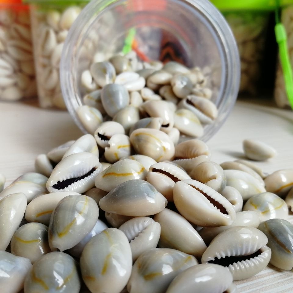 小贝壳虚拟币(小贝壳虚拟币是真的吗)