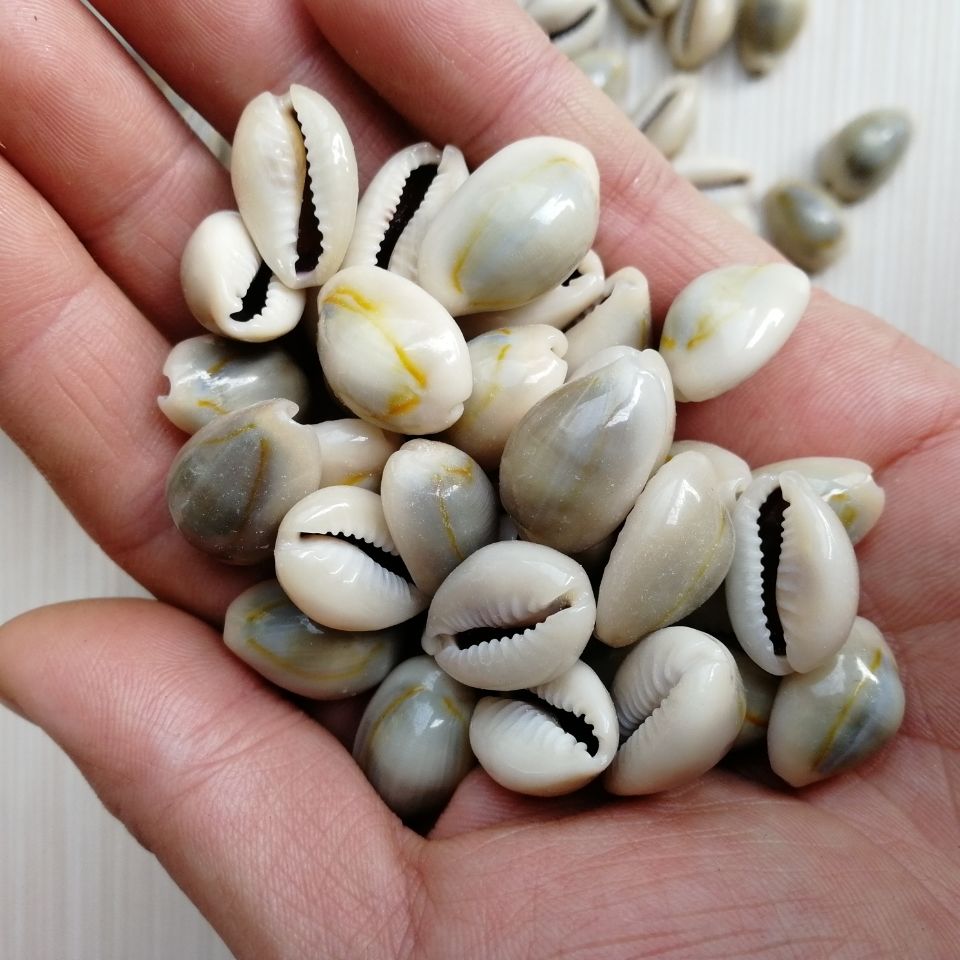 小贝壳虚拟币(小贝壳平台交易怎么玩) 小贝壳虚拟币(小贝壳平台交易怎么玩)