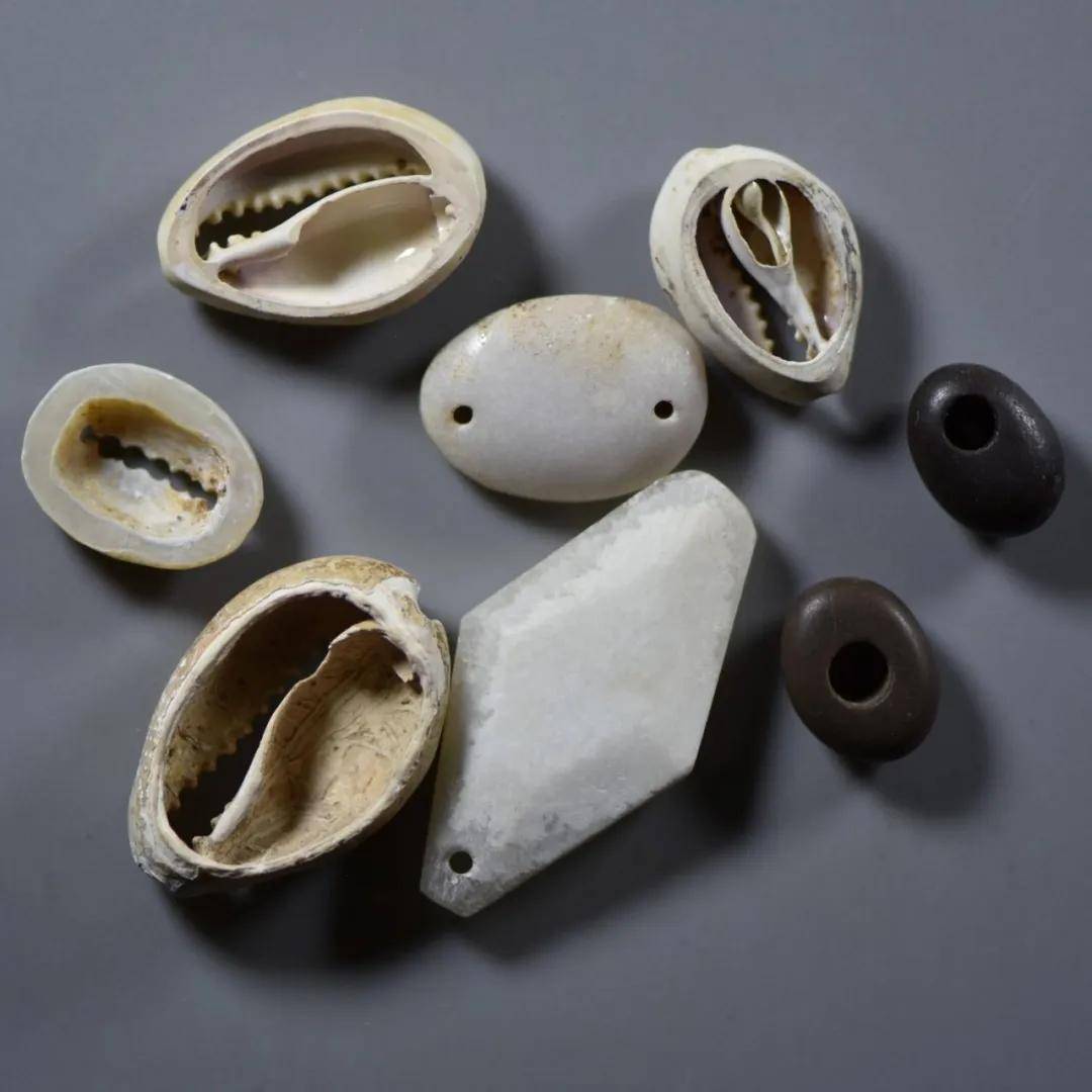 小贝壳虚拟币(小贝壳平台交易怎么玩) 小贝壳虚拟币(小贝壳平台交易怎么玩)